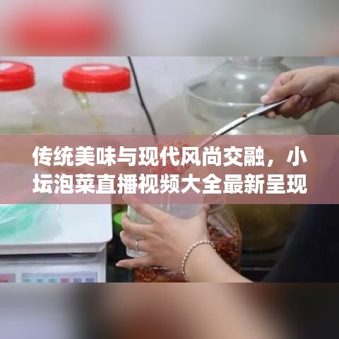 傳統(tǒng)美味與現(xiàn)代風(fēng)尚交融，小壇泡菜直播視頻大全最新呈現(xiàn)