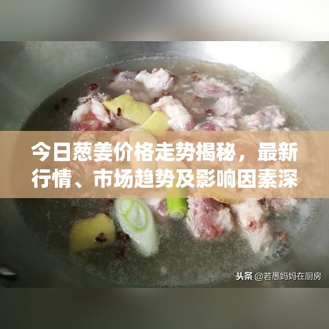 今日蔥姜價(jià)格走勢(shì)揭秘，最新行情、市場(chǎng)趨勢(shì)及影響因素深度解析