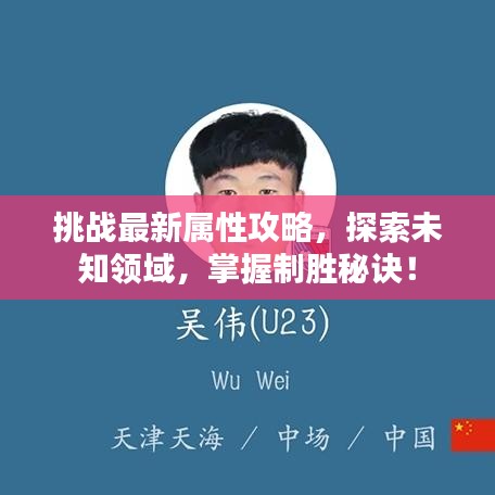 挑戰(zhàn)最新屬性攻略，探索未知領(lǐng)域，掌握制勝秘訣！