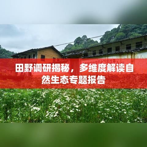 田野調(diào)研揭秘，多維度解讀自然生態(tài)專題報告