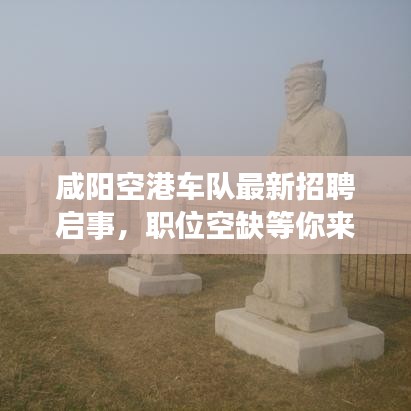 咸陽空港車隊最新招聘啟事，職位空缺等你來挑戰(zhàn)！