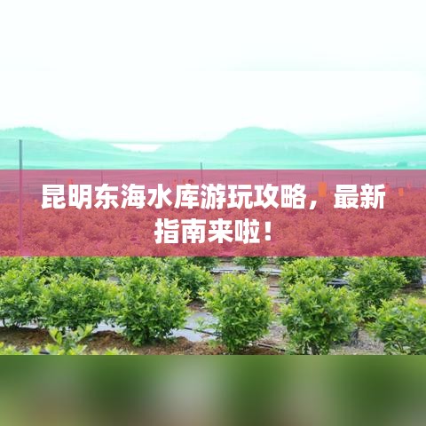 昆明東海水庫游玩攻略，最新指南來啦！