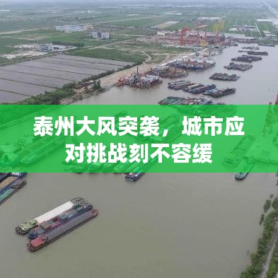 泰州大風(fēng)突襲，城市應(yīng)對(duì)挑戰(zhàn)刻不容緩