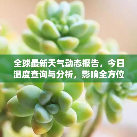 全球最新天氣動態(tài)報告，今日溫度查詢與分析，影響全方位解讀